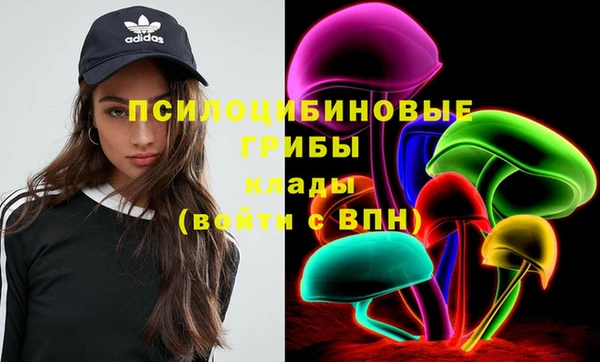 сатива Покров